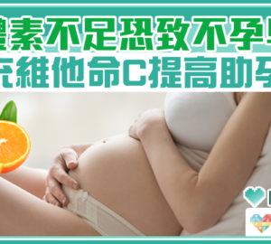 懷孕二三事-備孕-黃體素