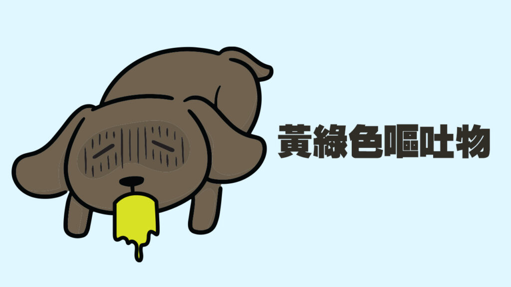 嘔吐物