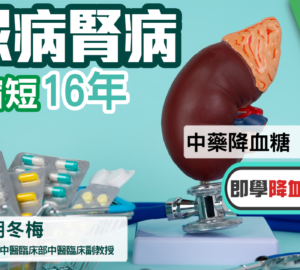 基層醫療-糖尿病腎病-中醫