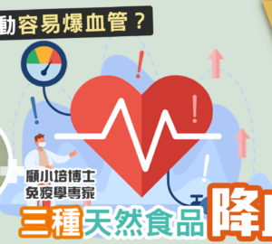 顧小培-膽固醇-高血壓